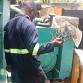 Fibre Optic Installation, Maintenance & Repair event image
