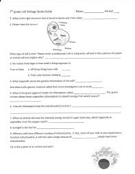 From coloring pages for early learners that explain the moon's various phases to complex texts that teach older kids about black holes and the chemical. 7th Grade Science Worksheets Pdf Science Worksheets Biology Worksheet 7th Grade Science