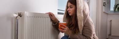 Doch kommt der winter, so wie aktuell, so kommt statt warmer luft nur kalte luft. Heizungsausfall Wenn Die Wohnung Kalt Bleibt Magazin Der Ideal Versicherung