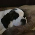 pin oleh khairi khairi di 廉価グレードセダン di 2020 mobil kendaraan