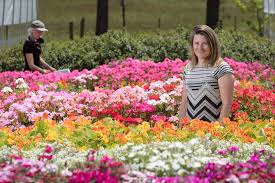 *additional charges may apply when plants are over 1m or weigh more than 25kg in total. Finally It S Time To Smell And Taste The Roses The Local