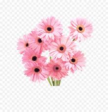 We did not find results for: Tumblr Flower Png Pink Daisy Bouquet Png Flowers Png Tumblr Free Transparent Png Images Pngaaa Com
