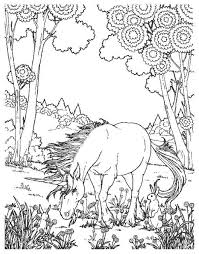 Light fury and toothless with images dragon sketch how train. Unicorn Coloring Pages Hard Coloring Pages Blog Project