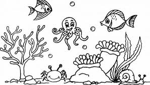 Gambar siluet pemandangan pantai hitam putih. Gambar Pemandangan Dasar Laut Hitam Putih