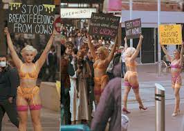 Why do vegans do this? Is it so hard to convince people to stop eating meat  that you need to resort to sex? I'm also 90% sure that the dude in the
