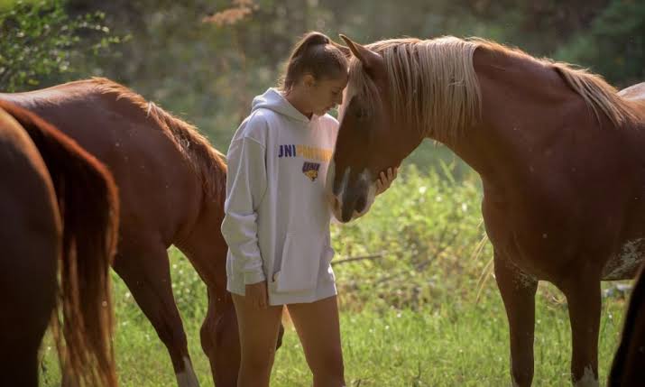 The Horse-Human Relationship Throughout History