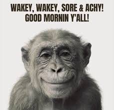 The Original Cranky Old Women Group.