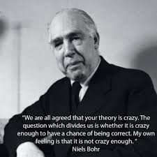 We are all agreed that your theory is crazy. The question which divides us  is whether it is crazy enough to have a chance of being correct. My own  feeling is that