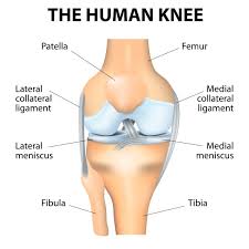 What Can Happen If You Don T Treat A Knee Injury Properly Ossur Webshop Blog