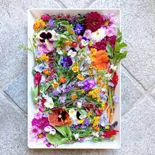 The most common fresh edible flowers material is paper. That Cheese Plate S Guide To Edible Flowers That Cheese Plate