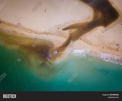 Blue pacific shore juniper is a perfect groundcover for any sunny area. Aerial Landscape Murky Image Photo Free Trial Bigstock