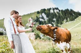 Boho Hochzeit Auf Der Stie Alm In Bayern I Hochzeit Am Berg In Bayern Boho Hochzeit Hochzeit Berghochzeit