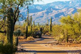 President herbert hoover designated the land a national monument in 1933. Saguaro National Park