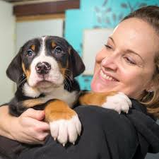 Roger (Trick x Salty)