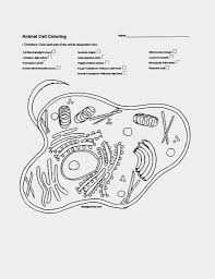 Animal Wrangling Worksheet Answers Printable Worksheets And Activities For Teachers Parents Tutors And Homeschool Families