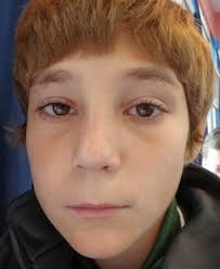 Estudiantes en la Red: Lectura Grupo 1°3