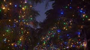 The Spectacle Of Altadena S Christmas Tree Lane Tree Christmas Tree Christmas