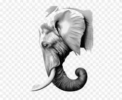 Connect the trunk and the second line at the tip with a small horizontal line. Graphic Black And White Library The Elephants Paper Asian Elephant Head Drawing Hd Png Download 564x730 3813488 Pngfind