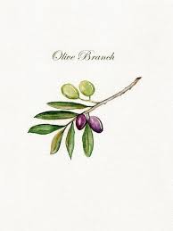 Pin By Cristina Almeida On For Home Olive Tree Tattoos Olive Tattoo Olive Branch