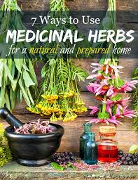 7 Ways To Use Medicinal Herbs At Home Melissa K Norris