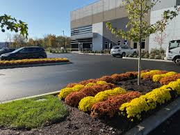 Maybe you would like to learn more about one of these? Working Remotely In Morristown Nj Return To A Presentable Workspace By Continuing Commercial Landscape Maintenance Outdoor Digs