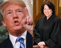 BREAKING: Supreme Court Justice Sonia Sotomayor delivers a bold rallying  cry to the judiciary and tells judges to stand tall as Donald Trump's  fascist attacks