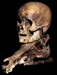 IFUGAO AUTHENTIC HEADHUNTING TRIBAL TROPHY SKULL DAVID HOWARD ASIAN TRIBAL ART IFUGAO AUTHENTIC HEADHUNTING TRIBALTROPHY SKULL