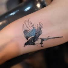 Birds are in full regalia here strutting their beauty and power, capturing our hearts with their airborne dance & freedom of movement, inspiring us to spread A Magpie Bringing Joy