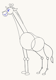 Start drawing a curve from the point where neckline ends. Step By Step Cartoon Giraffe Drawing