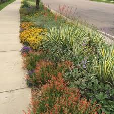 Best Sidewalk Garden Ideas Sidewalk Landscaping Low Maintenance Garden Xeriscape