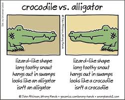 The Differences Between A Crocodile Vs An Alligator Crocodile Species Alligator Crocodile Facts For Kids