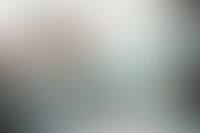 Meer vrouwen werken in België, maar toch bengelt ons land achteraan in Europa: hoe komt dat?