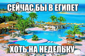 https://encrypted-tbn0.gstatic.com/images?q=tbn:ANd9GcS1w79x0nhra-PT2g-V63nZP8-s20asM1i8L4LtD0L_wEQ5jtM9