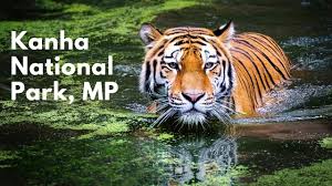 Kanha National Park