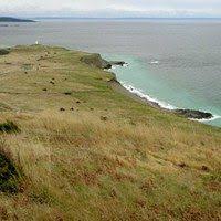 From 132 house rentals to 22 cabin rentals, find a unique house rental for you to enjoy a memorable holiday or a weekend with your family and friends. Take To The Islands On These Puget Sound Island Hikes San Juan Island Washington State Travel Adventure Is Out There
