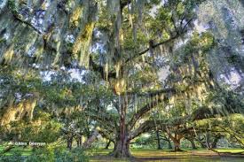 For example, 5 am is early in the morning, and 5 pm is late in the afternoon; Our Relationship In Trees It S About 2 00 In The Morning And I M By Ab Medium
