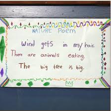 Assessment Students Will Use Their Knowledge Of Syllables And Create Haikus That Follow The 5 7 5 Patter Haiku Poems For Kids Balanced Literacy Poetry Lessons