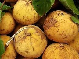 Fruit Names A Z With Pictures Fruit Names Starting With S Fruit Names Fruit Fruit Picture