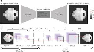 Teach hobbyists' or kids art. Estimating Rates Of Progression And Predicting Future Visual Fields In Glaucoma Using A Deep Variational Autoencoder Scientific Reports