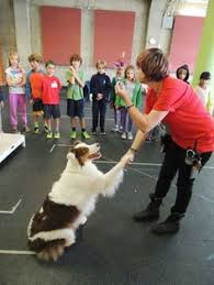 Our guide on starting an animal rescue business covers all the essential information to help you decide if this business is a good match for you. 40 Forms Samples Ideas Animal Rescue Aspca Animal Shelter