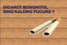 Kali ini maudisini akan membagikan ratusan kata kata lucu bahasa jawa buat status fb kata kata lucu dan gokil bahasa jawa serta dp bahasa jawa halus serta berbagai macam gambar gambar lucu untuk dijadikan dp bbm. 25 Meme Ideas Funny Pictures Funny Memes