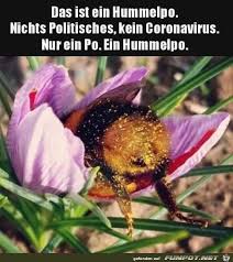 .und während sich alle schon über hummels lustig machen denke ich noch immer warum haben die eigentlich leon gesaved???? Das Ist Nur Eine Hummel