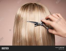 The fact of being very uncommon makes these platinum blonde hair color is. Hairdresser Cuts Long Image Photo Free Trial Bigstock