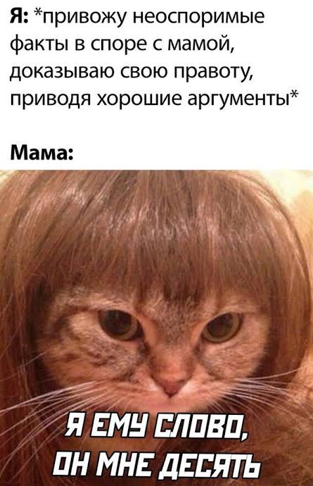 Кот в Парике | Learn Russian With Memes