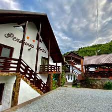 8:08 av turism 4 318 просмотров. Pensiunea Andra Albac Alba