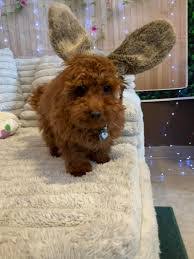 Charlene Hatch's Instagram, Twitter & Facebook