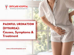 Image result for Dysuria