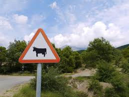 Ça va se répercuter sur le prix des fruits et légumes espagnol et du nord afrique.on en verra plus arriver. Partir En Voiture En Espagne Les Differences Du Code De La Route