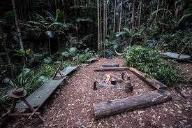 Huge congratulations to john barrowman on making the final three on i'm a celebrity! Where Is I M A Celebrity Filmed And Can You Visit The Australian Jungle Set Best Tv News