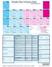 bachem periodic_chart_amino_acids_poster his h 155 16